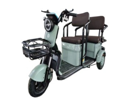 IRGC40 High-End  Mini Golf Cart, Green