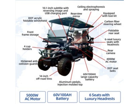 SDLANCH SDLGC100 6 Seat Electric Golf Cart