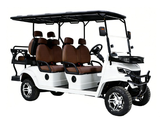 HQ100 6 Seat Golf Cart