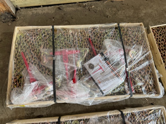 (10) 20' 3/8" Chains w/ (5) 9200 lb Ratchet Binders