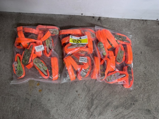(30) 2.5cmx3.5m Straps w/ No Hooks