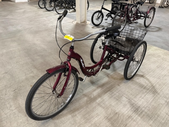 Schwinn Tricycle
