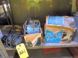 Little Giant Water Pumps, Asst.  (3 Each)