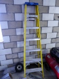 Werner Ladder, 7'