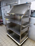 Stainless Steel Rolling Cart