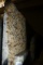 Stone Slab, 3 CM Thick, Solarius Polished, 122