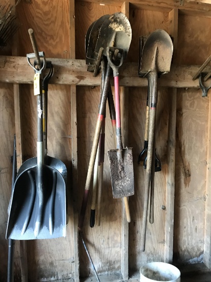 Shovels, Asst.