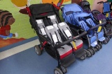 Quad Stroller