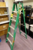 Werner A-Frame F/G Ladder