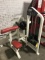 Strive Bicep Curl Machine