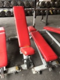 Streamline Adjustable Fitness Benches
