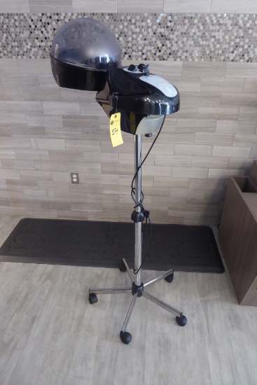 Pibbs Vapionic Steamer
