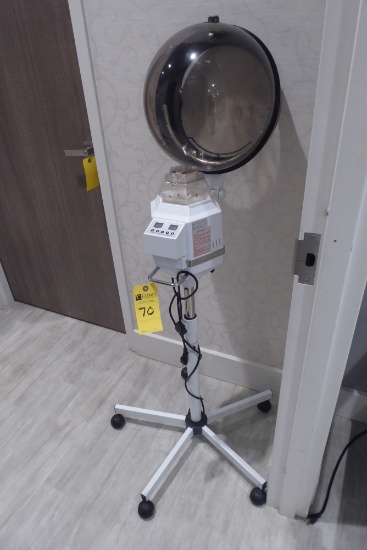 Portable Hair Steamer