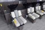 Veeco 2-Seat Shampoo Station