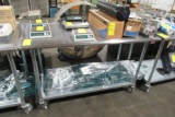 Stainless Steel Prep Table, 60'x30