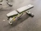 Precor Adjustable Flat Bench