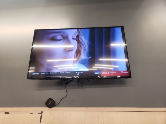 Sceptre 50" Flatscreen Wall Mounted TV