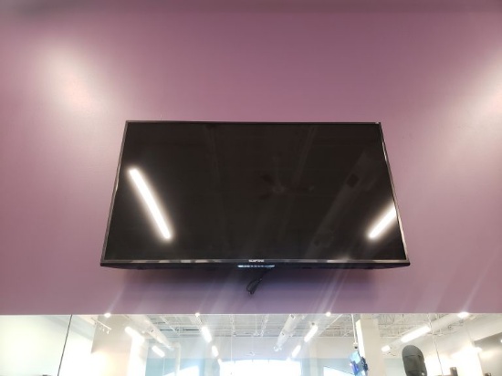 Sceptre 50" Flatscreen Wall Mounted TV