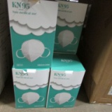 KN95 Mask 30(50) (1,500 Each) (30 Boxes)