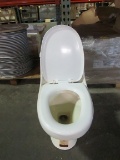 1-Piece Toilet, GB/T6952-1999 (2 Each)