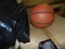 Basketballs, Size 6 (24 Each)