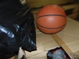 Basketballs, Size 6 (24 Each)