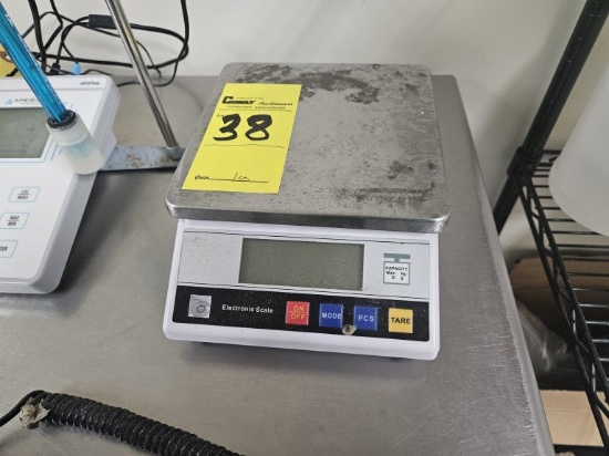 Electronic Scale