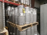 Stainless Steel Keg, Sixtels (20 Each)