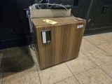 Avanti Mini Fridge