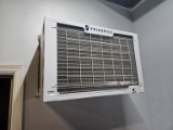 Friedrich Wall Air Conditioner