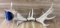 Pallet Fork Backing/Spear/Reese Hitch Combo