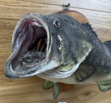 82