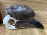 1/2