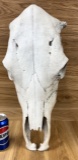 1/4
