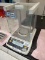Sartorius Entris124-1S Laboratory Balance