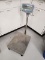 Adam GFC-165a Floor Scale