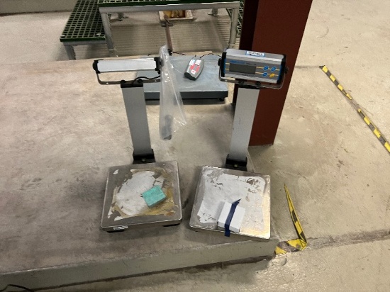 Adam Equipment Floor Scale