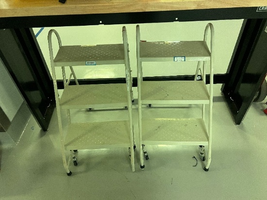 Lot of 2 Step Stools