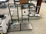 Lot of 2 Adam Equipment Lot of Floor Scales
