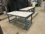 Lot of 2 Lab Tables