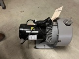 Varion Dry Vacuum Pump