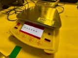 Ohaus Laboratory Balance