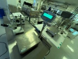 Adam Equipment Laboratory Balance