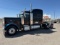 2009 PETERBILT 389