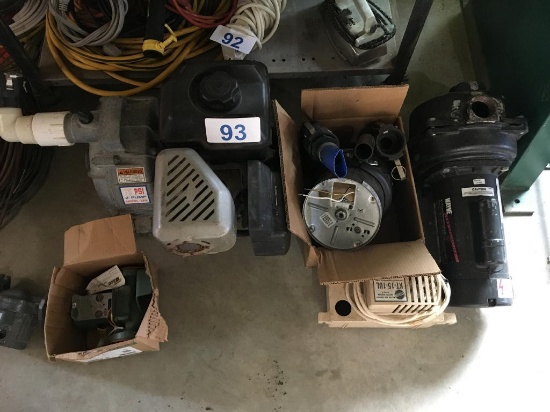 LOT OF (4) ASSORTED PUMPS