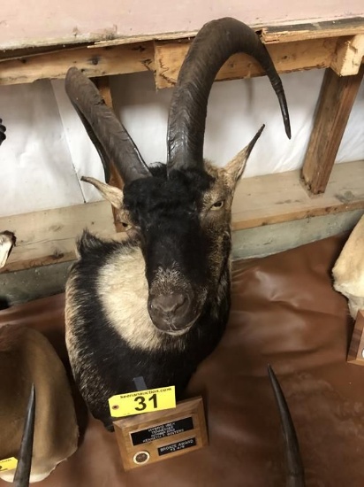 HYBRID IBEX MOUNT