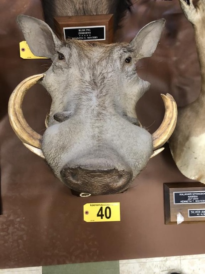 WARTHOG MOUNT