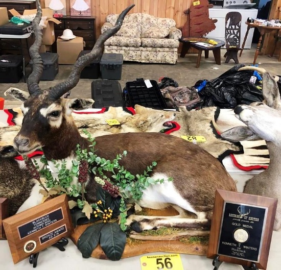 BLACK BUCK MOUNT