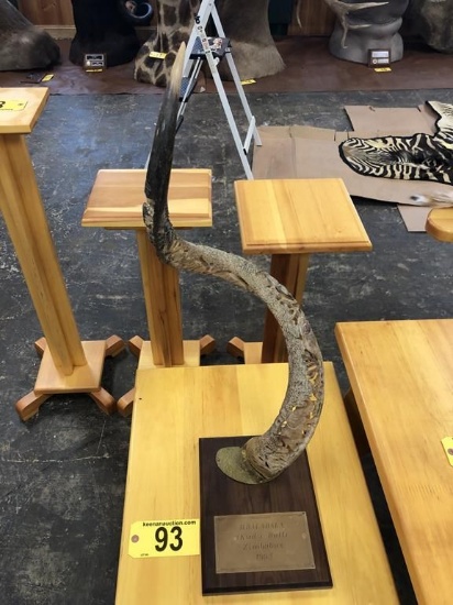 MBALABALA (KUDU BULL) CARVED ANTLER