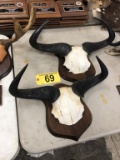 BLUE WILDEBEEST RACKS